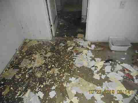 2675 Glendale (12)_m.jpg